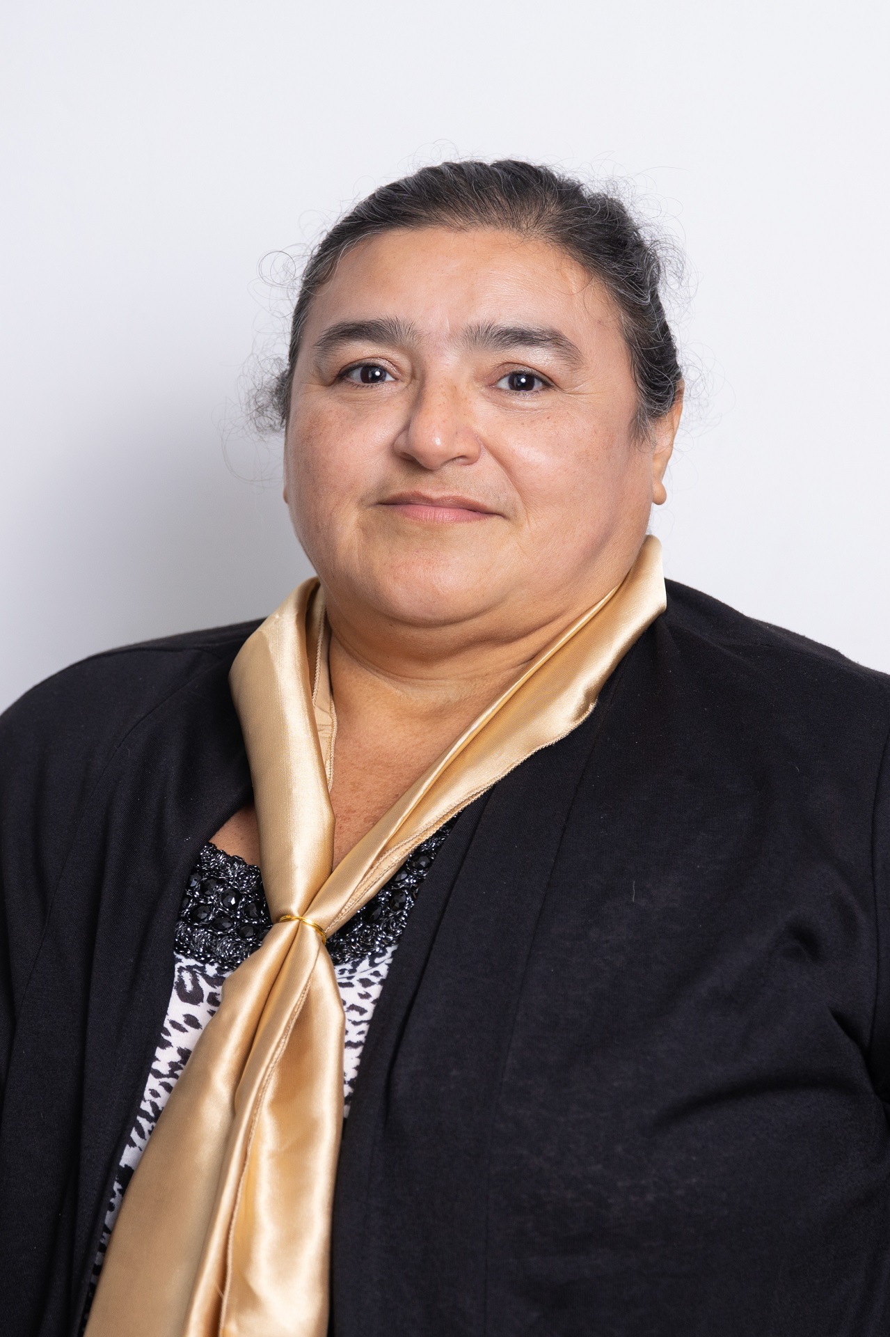 Dra. Nancy Elizabeth Cardós Sanguino
VOCALES